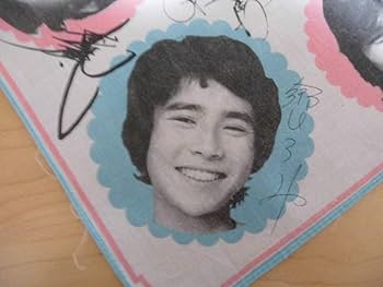 ◆値下げ◆西城秀樹　野口五郎　郷ひろみ　昭和アイドル新御三家レコード２０枚 値下げ❤️新御三家❤️西城秀樹 野口五郎 郷ひろみ❤️スター